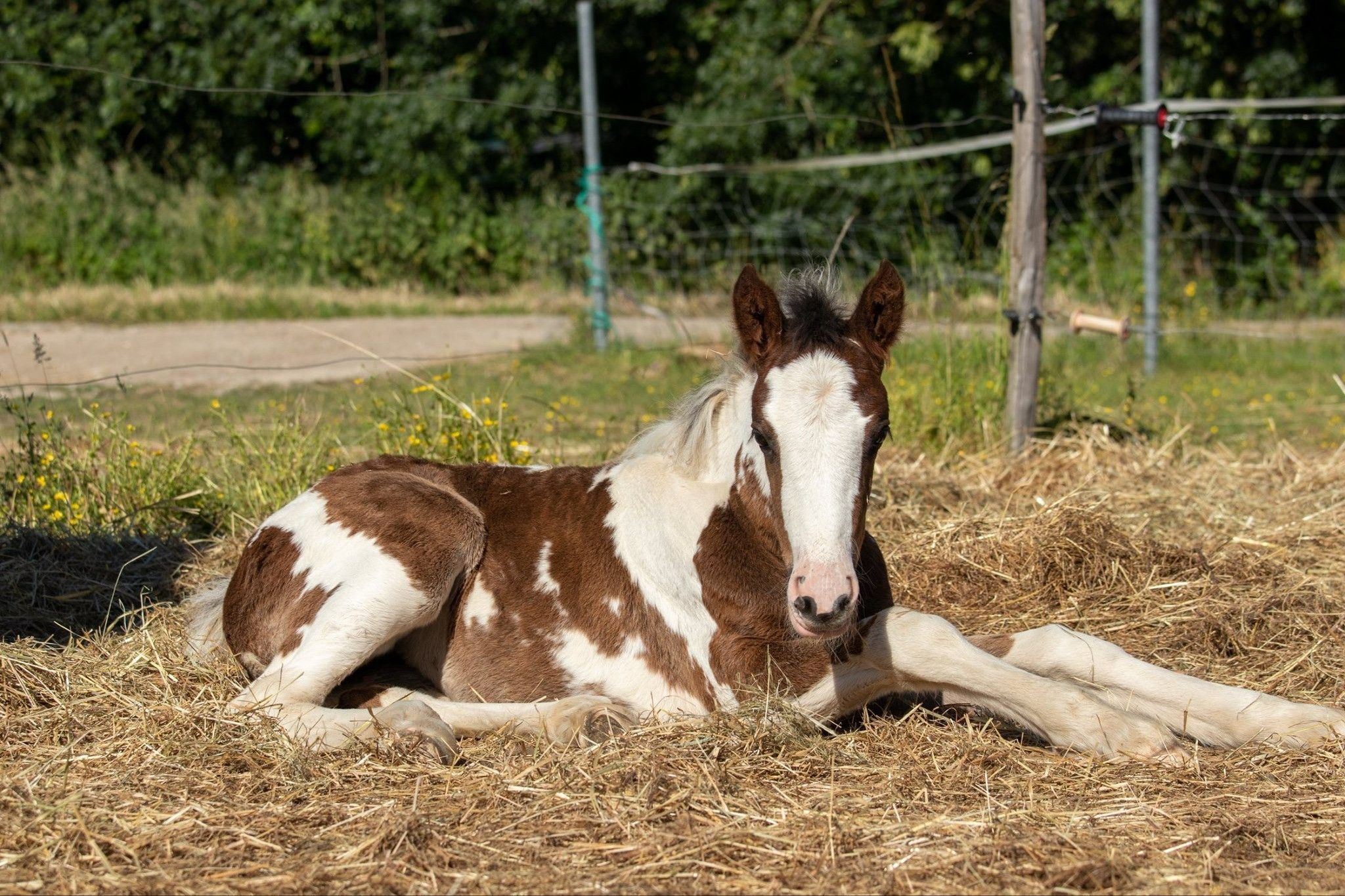 blockValue.789f963d-e200-4b7b-942e-2e73f35333af.imageCol.1.img_alt