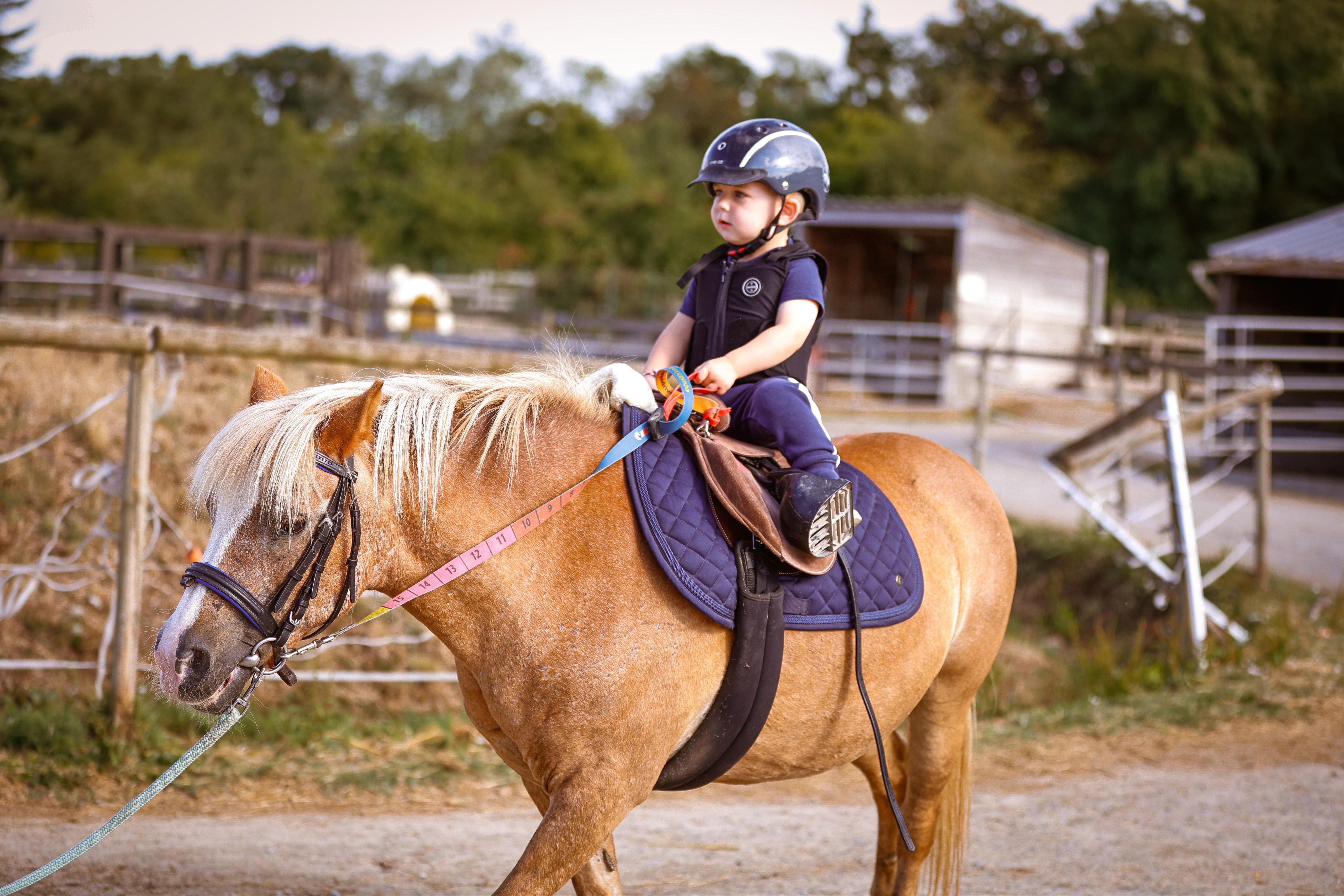 Image de DÉCOUVERTE DU PONEY POUR ENFANTS DE 3 À 6 ANS