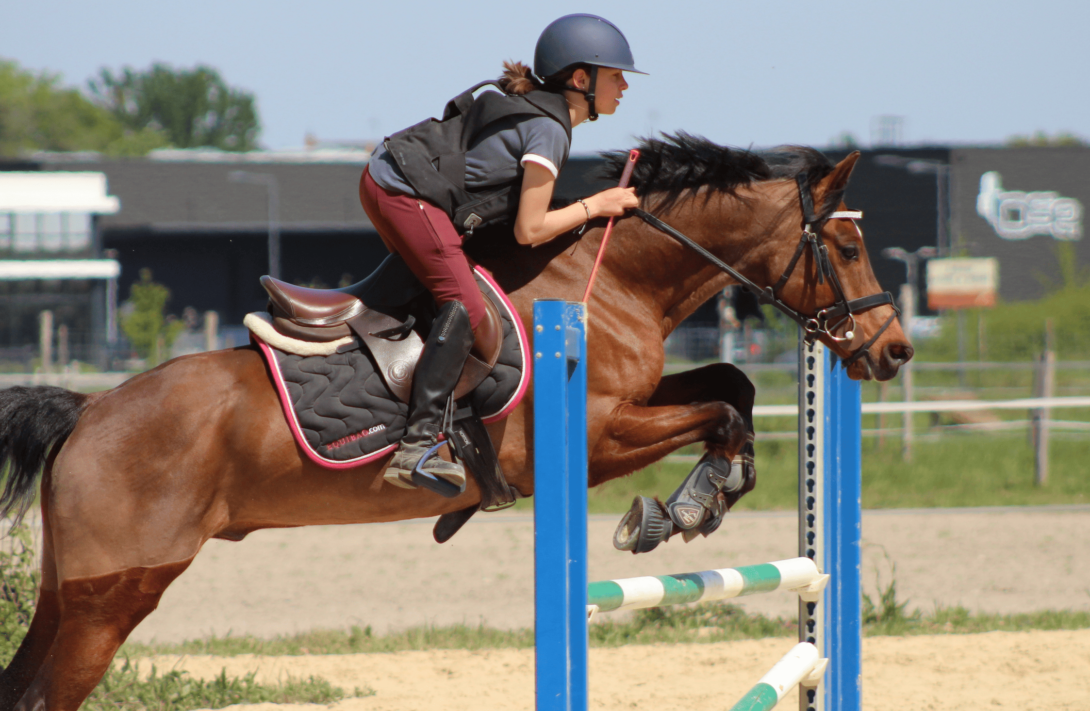 Image de STAGE GALOP 5 À 7, ORIENTÉ OBSTACLE