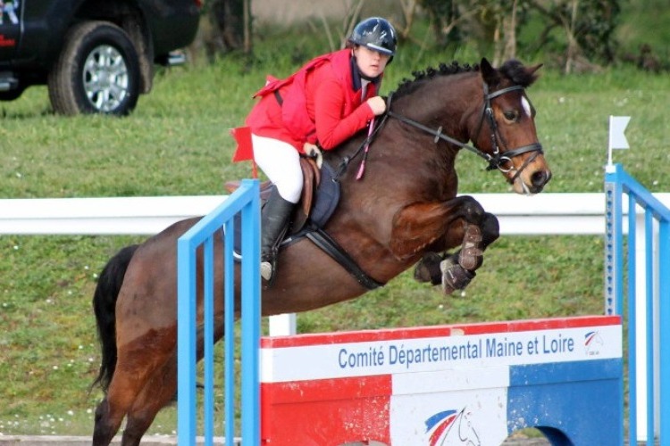 Image de Stage débutants, galops poney et  Galop 1, 2 & 3