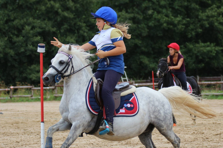 Image de Stage de Pony Games