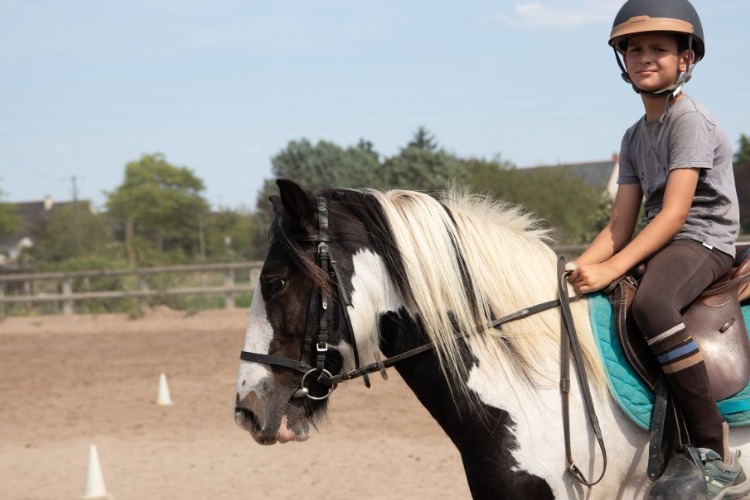 Image de Stage enfants Galop 1 à 2