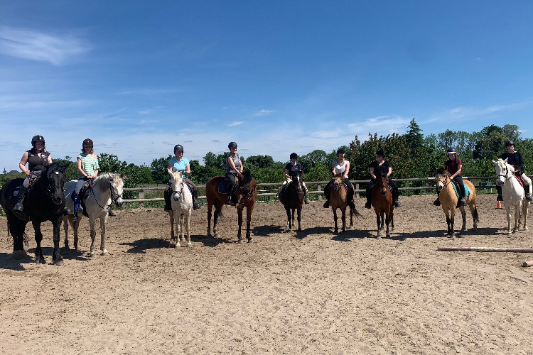 Image de stage adultes pour cavaliers non montés depuis longtemps et Remise à cheval pour cavaliers adultes n'étant  pas montés depuis longtemps ( ancien niveau galop 2 à 5) étaient à l'aise aux 3 allures galop acquis