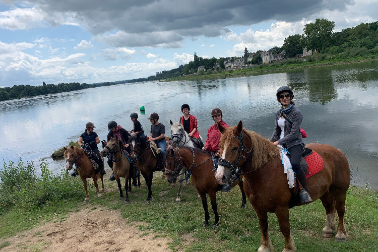 Image de stage pour cavaliers adultes n'étant  pas montés depuis longtemps ou jamais monté (débutants à galop 1) pas de galop