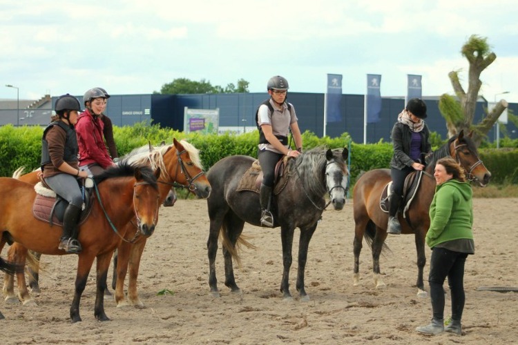 Image de Vous n'êtes pas monté depuis longtemps et vous avez envie de monter à cheval cette activitée est faite pour vous.
