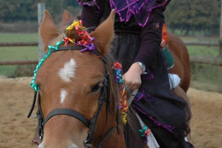 Image de Journée déguisement Halloween pour enfants 6 à 12 ans