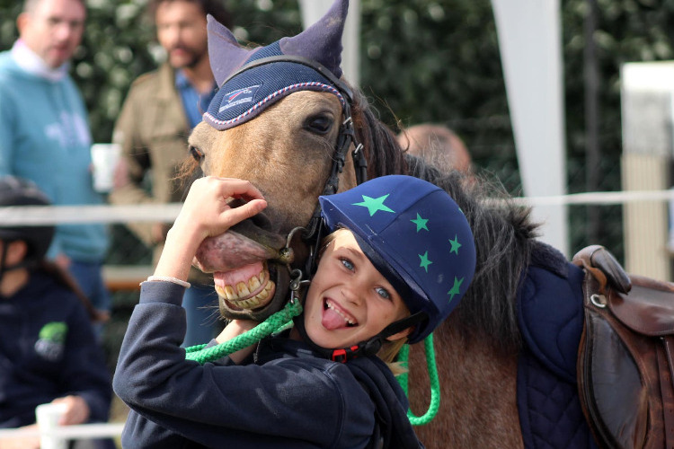 Image de Séance de 2h Galop 1-2 + après-midi au centre équestre